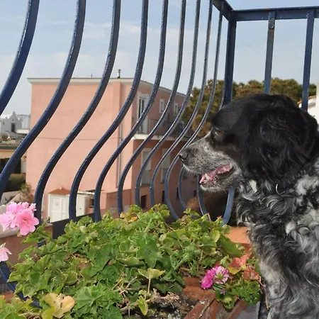Hotel Mafalda Forio di Ischia