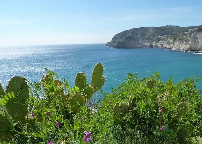 Отель Mafalda 2*