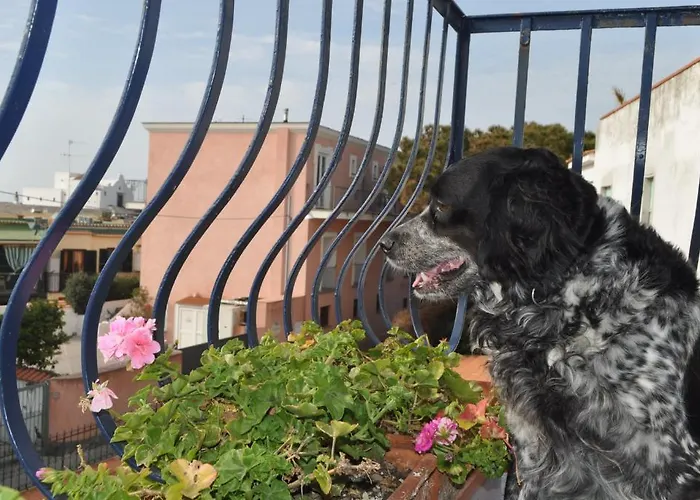 מלון Mafalda Forio di Ischia